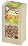 FLORTUS BIO Einkorn Getreide Samen 200g | Alte Sorten robustes Urgetreide zur Herstellung von Nudeln Brot Sauerteig & Microgreens | Sprossen Samen