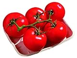 tegut… Bio Strauchtomaten, 500 g