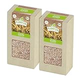 FLORTUS BIO Roggen Getreide Samen 400g | Alte Sorten Urgetreide zur Herstellung von Mehl Sauerteig Brot Roggengras & Microgreens | Sprossen Samen