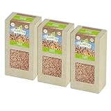 FLORTUS BIO Dinkel Getreide Samen 600g | Alte Sorten Urgetreide zur Herstellung von Dinkelmehl Nudeln Brot Müsli & Microgreens | Sprossen Samen