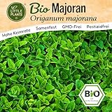 Little Plants BIO Majoran Samen 2000 Majoransamen Kräutersamen Samenfest für Kräutergarten Kräuter Samen Küchenkräuter für Küche, Balkon und Garten