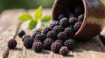 Antioxidantien aus dunklen Sommerfrüchten