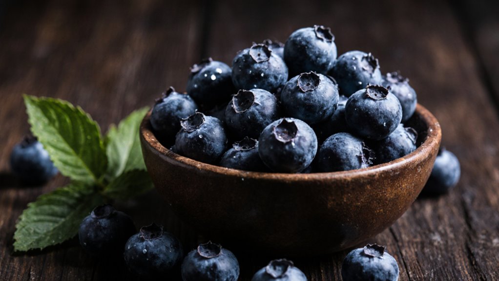 nährstoffreiche vielseitige Superfood-Option